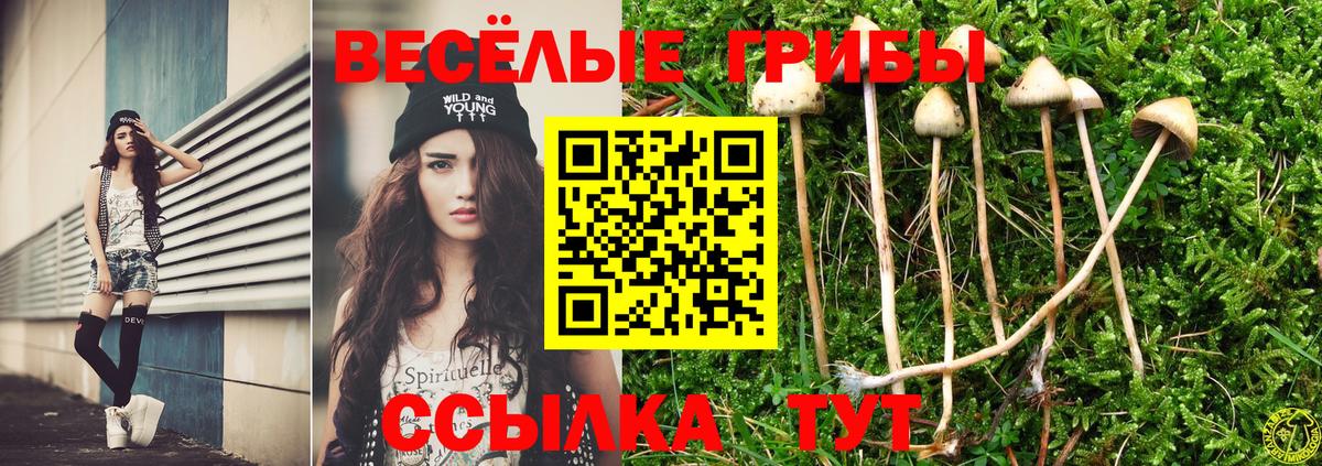 Черкесск  Псилоцибиновые грибы Magic Shrooms  Вход с VPN 